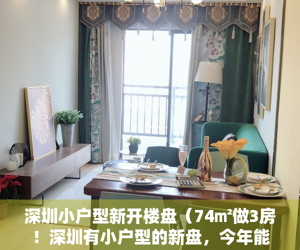 深圳小户型新开楼盘（74㎡做3房！深圳有小户型的新盘，今年能买的只剩23个！）