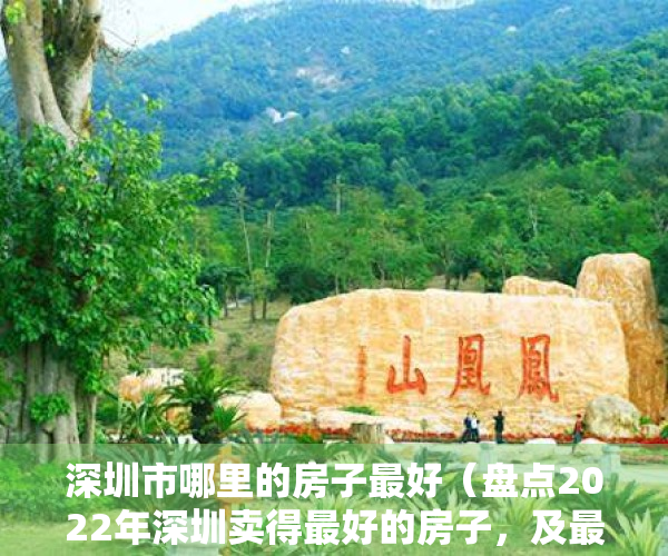 深圳市哪里的房子最好（盘点2022年深圳卖得最好的房子，及最惨的房子！）