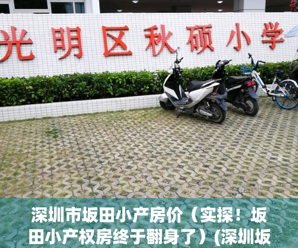 深圳市坂田小产房价（实探！坂田小产权房终于翻身了）(深圳坂田小产权房政策)