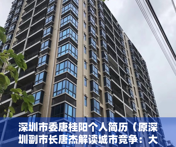 深圳市委唐桂阳个人简历（原深圳副市长唐杰解读城市竞争：大的创新，中的制造，小的宜居）