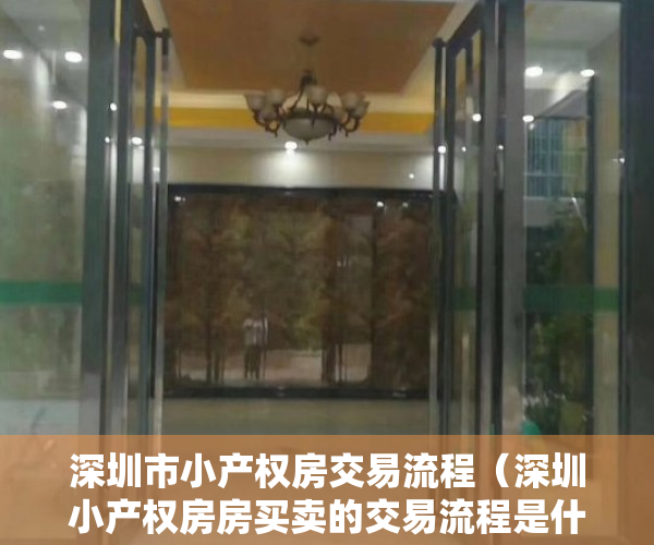深圳市小产权房交易流程（深圳小产权房房买卖的交易流程是什么样子的呢？）