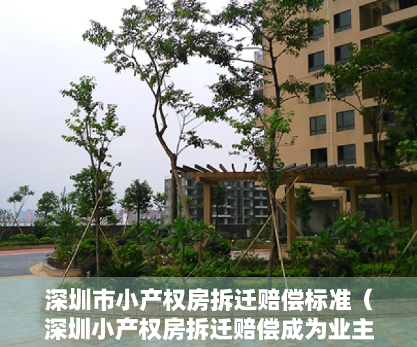深圳市小产权房拆迁赔偿标准（深圳小产权房拆迁赔偿成为业主讨论的热点）