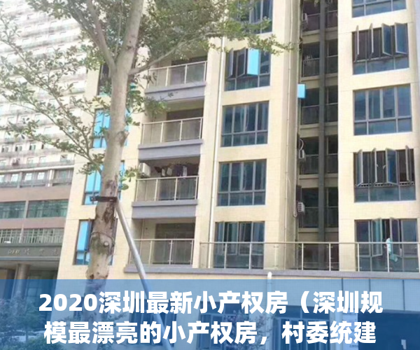 2020深圳最新小产权房（深圳规模最漂亮的小产权房，村委统建楼的老大哥，真有可能转正吗）