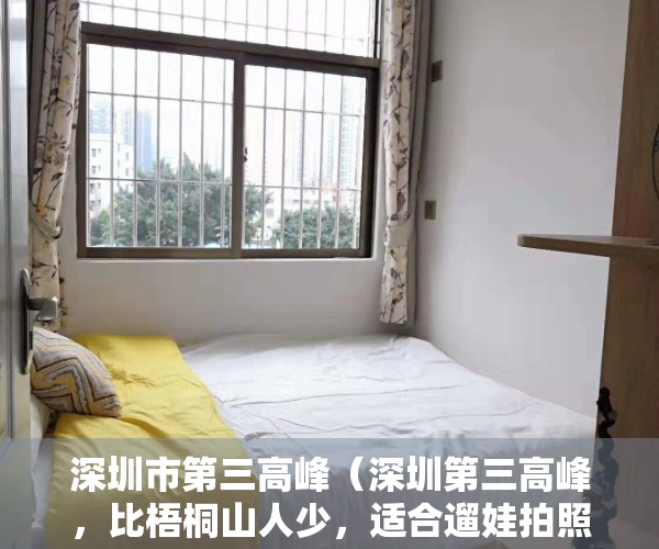深圳市第三高峰（深圳第三高峰，比梧桐山人少，适合遛娃拍照免费却少有游客知！）