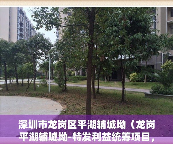 深圳市龙岗区平湖辅城坳（龙岗平湖辅城坳-特发利益统筹项目，即将拆迁，现有少量直签指标，单价2字头！）
