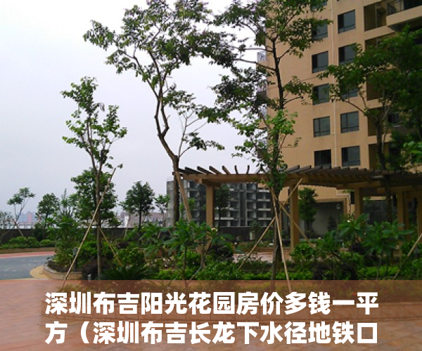 深圳布吉阳光花园房价多钱一平方（深圳布吉长龙下水径地铁口旁《阳光新苑》，精装电梯房）