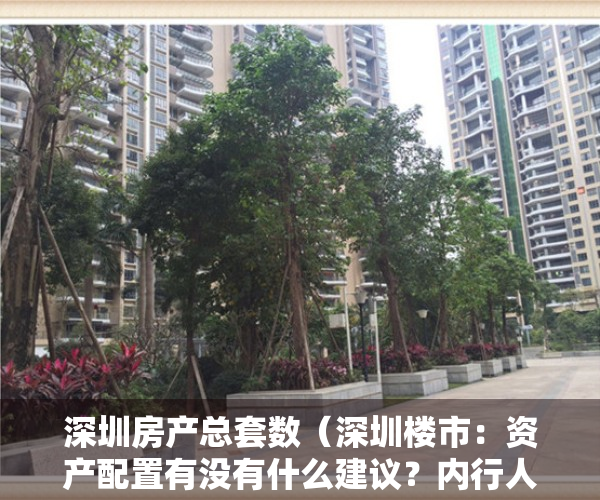深圳房产总套数（深圳楼市：资产配置有没有什么建议？内行人告诉你答案）