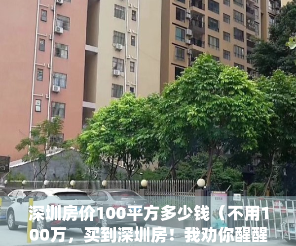 深圳房价100平方多少钱（不用100万，买到深圳房！我劝你醒醒！）(深圳100w的房子)