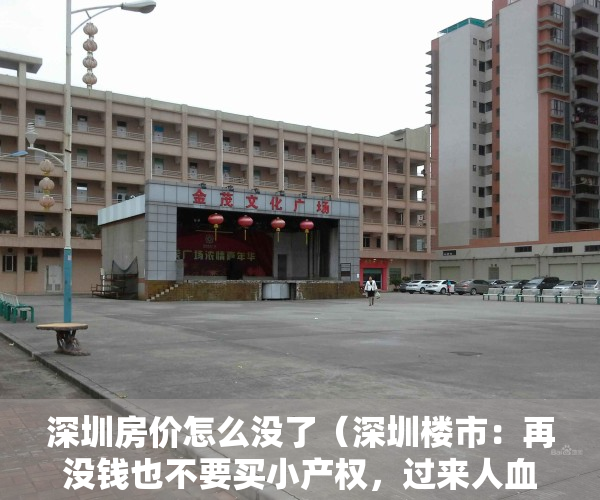 深圳房价怎么没了（深圳楼市：再没钱也不要买小产权，过来人血淋淋的教训）