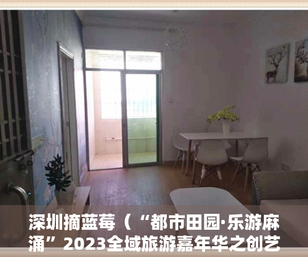 深圳摘蓝莓（“都市田园·乐游麻涌”2023全域旅游嘉年华之创艺蓝莓采摘季）