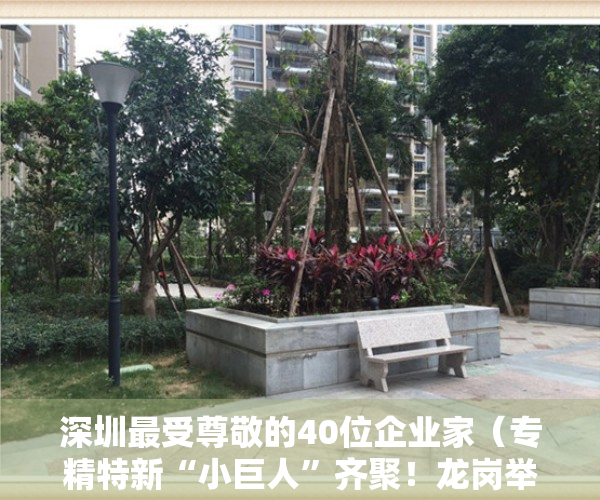 深圳最受尊敬的40位企业家（专精特新“小巨人”齐聚！龙岗举行第四届“深圳企业家日”主题活动）