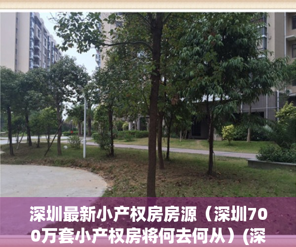 深圳最新小产权房房源（深圳700万套小产权房将何去何从）(深圳小产权房的比例有多大?)