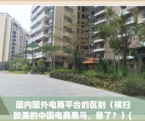 国内国外电商平台的区别（横扫欧美的中国电商黑马，悬了？）(国内国外的电商平台有哪些)