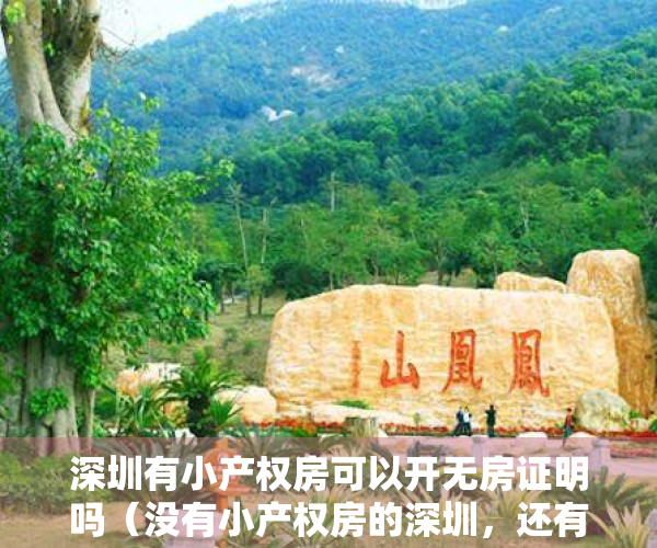 深圳有小产权房可以开无房证明吗（没有小产权房的深圳，还有明天吗？）