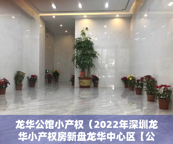 龙华公馆小产权（2022年深圳龙华小产权房新盘龙华中心区【公园大地】03户型）
