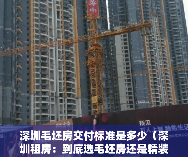 深圳毛坯房交付标准是多少（深圳租房：到底选毛坯房还是精装房？看完这几点你就知道了！）