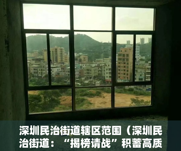 深圳民治街道辖区范围（深圳民治街道：“揭榜请战”积蓄高质量发展新势能）