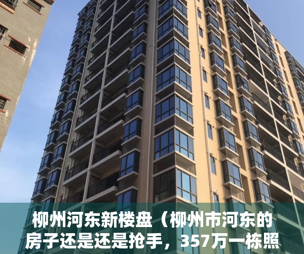 柳州河东新楼盘（柳州市河东的房子还是还是抢手，357万一栋照样有人抢着买）