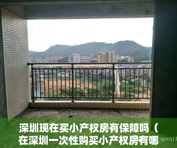 深圳现在买小产权房有保障吗（在深圳一次性购买小产权房有哪些好处）