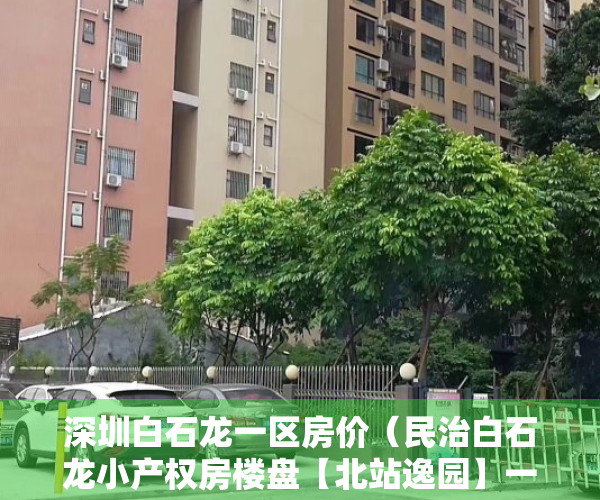 深圳白石龙一区房价（民治白石龙小产权房楼盘【北站逸园】一至三房户型，总价40万起，送精装修​）