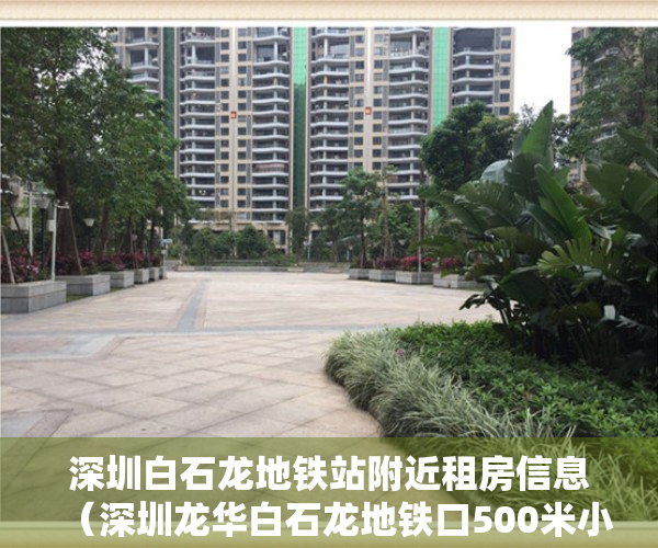 深圳白石龙地铁站附近租房信息（深圳龙华白石龙地铁口500米小产权房《北站别苑》深圳北站新楼盘， 明厨明卫，停车无忧！ 深圳外国语学校玉龙学校东兴学校，民乐小学）