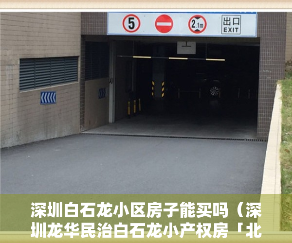 深圳白石龙小区房子能买吗（深圳龙华民治白石龙小产权房「北站别苑」历史遗留农民房，深圳北站4号线白石龙站，4号线白石龙地铁口 明厨明卫豪华装修，商品房品质）