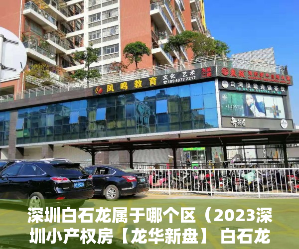 深圳白石龙属于哪个区（2023深圳小产权房【龙华新盘】 白石龙拆迁房 北站别苑  两 房总价 828万起）