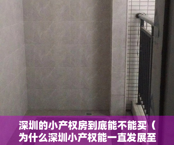 深圳的小产权房到底能不能买（为什么深圳小产权能一直发展至今？ZF不管吗？）