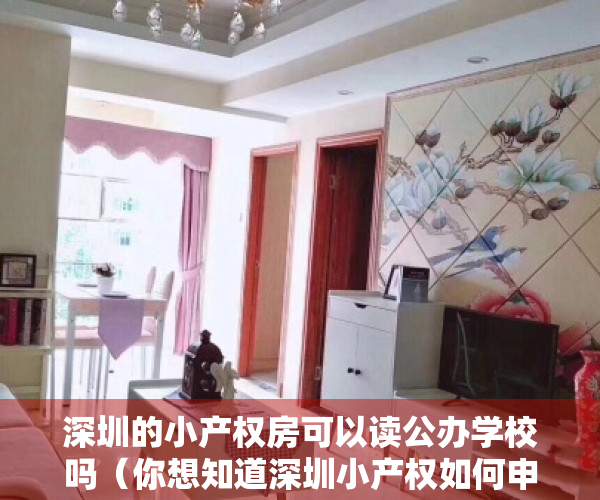 深圳的小产权房可以读公办学校吗（你想知道深圳小产权如何申请学位吗？）