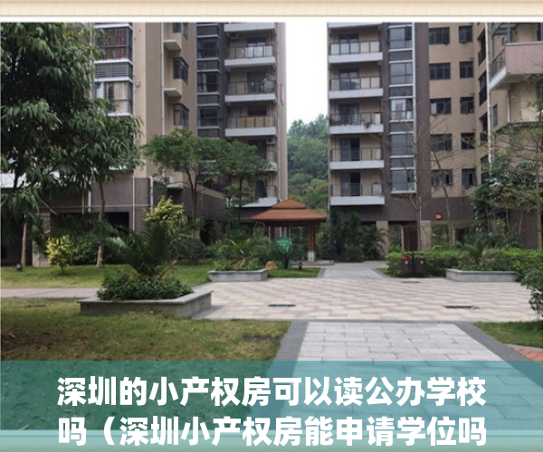 深圳的小产权房可以读公办学校吗（深圳小产权房能申请学位吗？）(深圳小产权房可以申请公立学校吗)