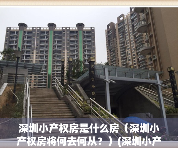 深圳小产权房是什么房（深圳小产权房将何去何从？）(深圳小产权2021年火了)