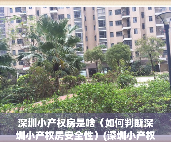 深圳小产权房是啥（如何判断深圳小产权房安全性）(深圳小产权房有风险吗)