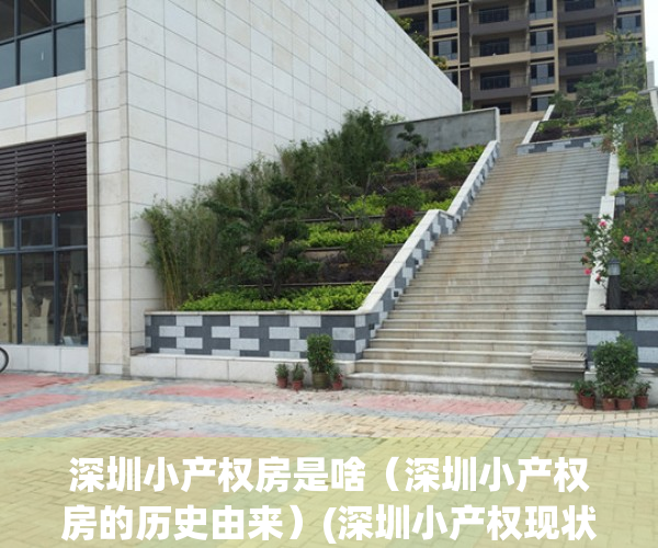 深圳小产权房是啥（深圳小产权房的历史由来）(深圳小产权现状)