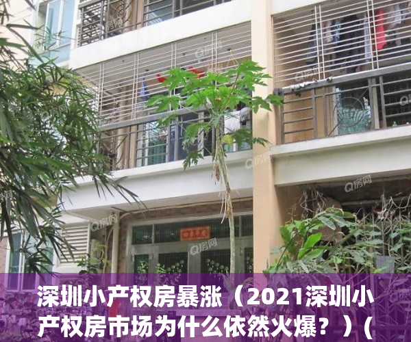 深圳小产权房暴涨（2021深圳小产权房市场为什么依然火爆？）(深圳小产权房现状)