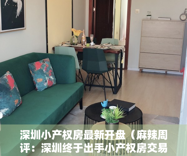 深圳小产权房最新开盘（麻辣周评：深圳终于出手小产权房交易！网友：可以消停几年了…）