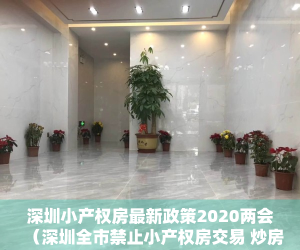 深圳小产权房最新政策2020两会（深圳全市禁止小产权房交易 炒房客再断“财路”）
