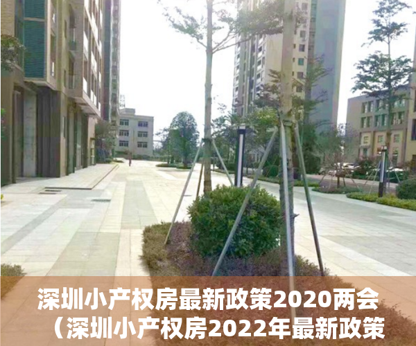 深圳小产权房最新政策2020两会（深圳小产权房2022年最新政策是什么？深圳小产权房怎么买卖？）