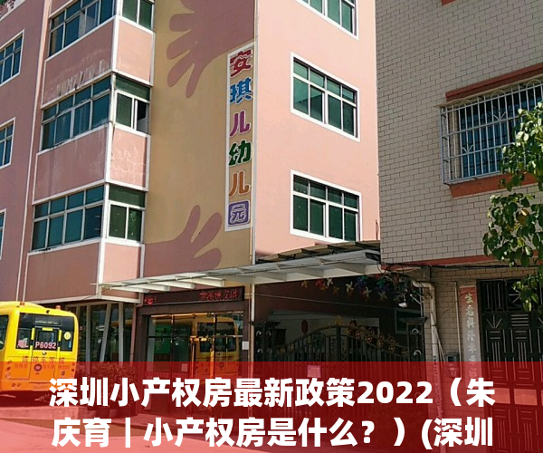 深圳小产权房最新政策2022（朱庆育｜小产权房是什么？）(深圳小产权房最终怎么处理)