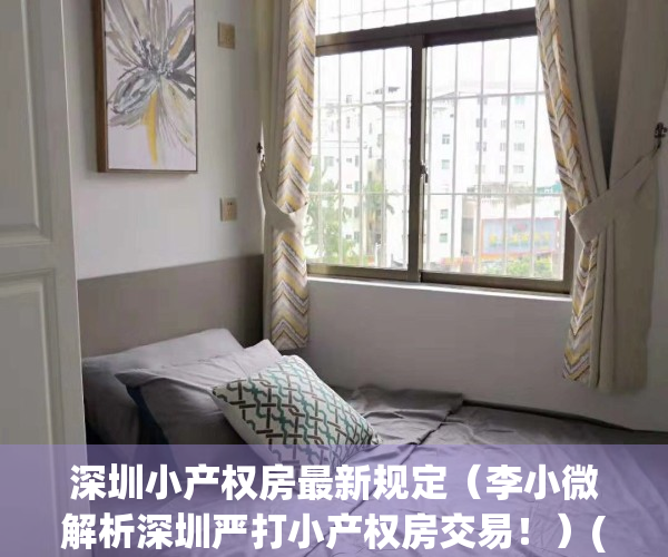 深圳小产权房最新规定（李小微解析深圳严打小产权房交易！）(2021年深圳小产权房政策解读)