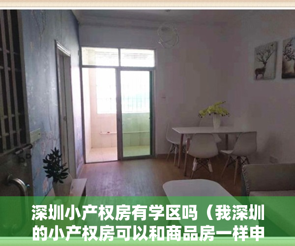 深圳小产权房有学区吗（我深圳的小产权房可以和商品房一样申请入学吗？）