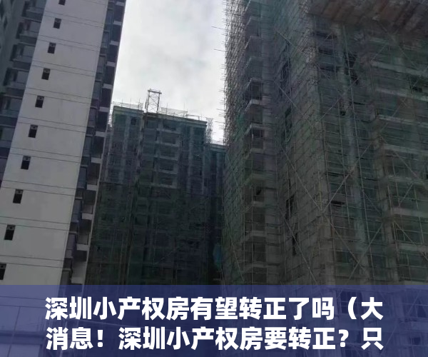深圳小产权房有望转正了吗（大消息！深圳小产权房要转正？只需补缴50%的地价？）
