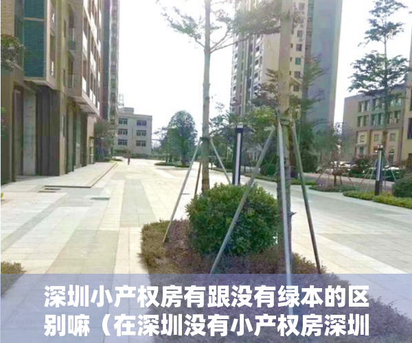 深圳小产权房有跟没有绿本的区别嘛（在深圳没有小产权房深圳还是深圳吗？）