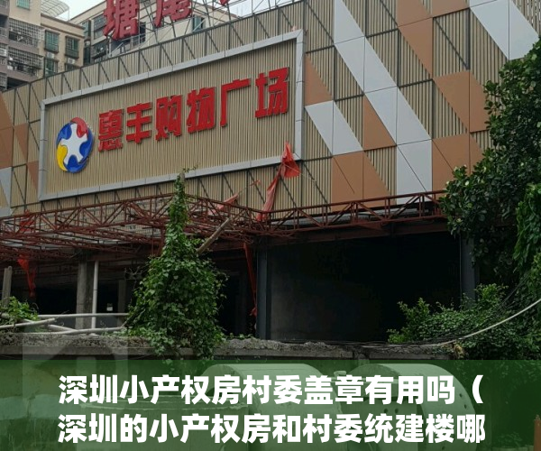 深圳小产权房村委盖章有用吗（深圳的小产权房和村委统建楼哪个更有保障？）