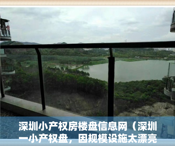 深圳小产权房楼盘信息网（深圳一小产权盘，因规模设施太漂亮，周边买商品房的都来围观）