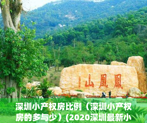 深圳小产权房比例（深圳小产权房的多与少）(2020深圳最新小产权房)