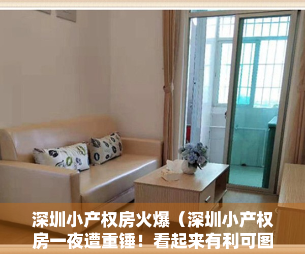 深圳小产权房火爆（深圳小产权房一夜遭重锤！看起来有利可图的背后，是雪崩刚刚开始）