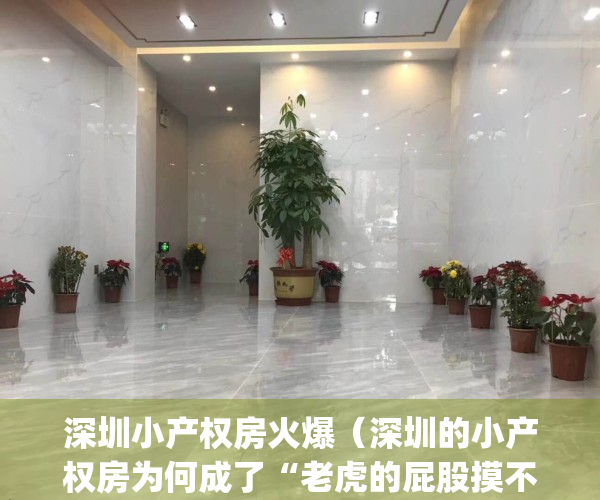 深圳小产权房火爆（深圳的小产权房为何成了“老虎的屁股摸不得”）(现在深圳小产权房的价格是多少)