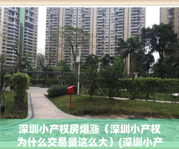 深圳小产权房爆涨（深圳小产权为什么交易量这么大）(深圳小产权房价格上涨)