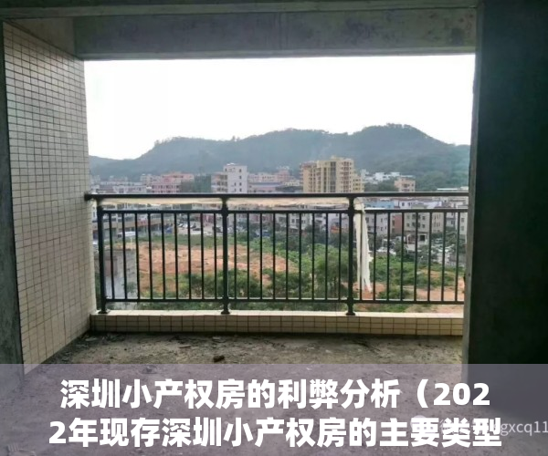 深圳小产权房的利弊分析（2022年现存深圳小产权房的主要类型有哪些？）