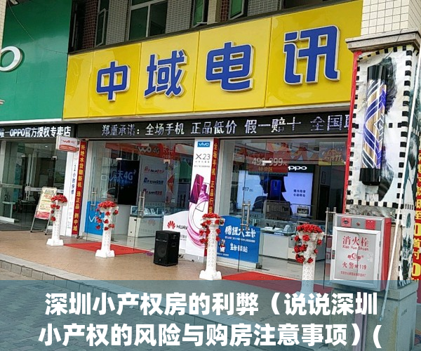 深圳小产权房的利弊（说说深圳小产权的风险与购房注意事项）(2021年深圳小产权房怎么处理)